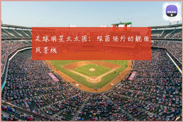 足球明星太太团：绿茵场外的靓丽风景线