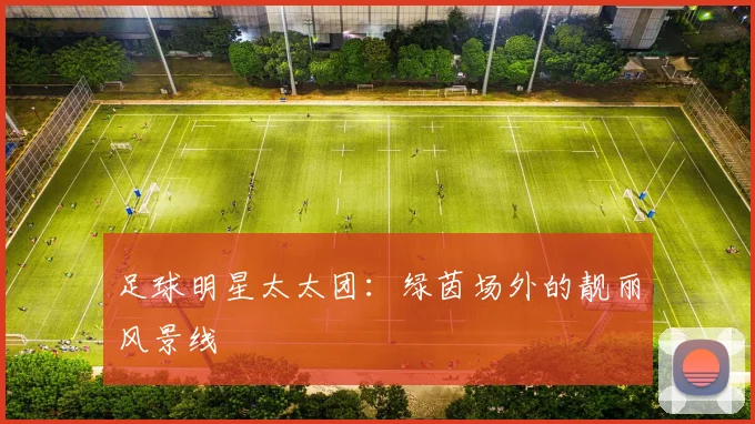 足球明星太太团:绿茵场外的靓丽风景线