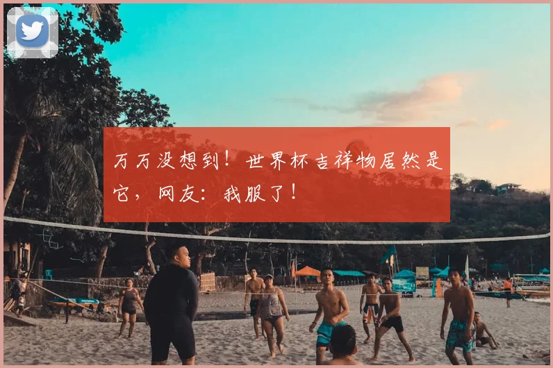 万万没想到！世界杯吉祥物居然是它，网友：我服了！